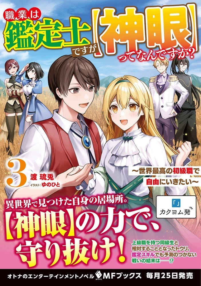 職業は鑑定士ですが【神眼】ってなんですか？　～世界最高の初級職で自由にいきたい～ 3