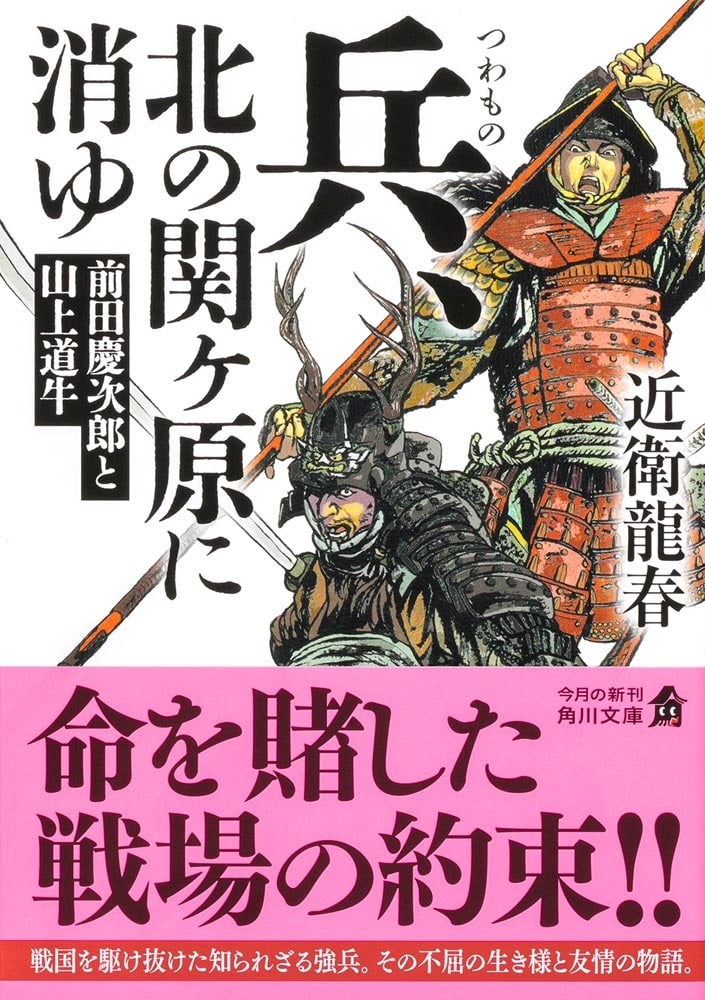 兵、北の関ヶ原に消ゆ 前田慶次郎と山上道牛