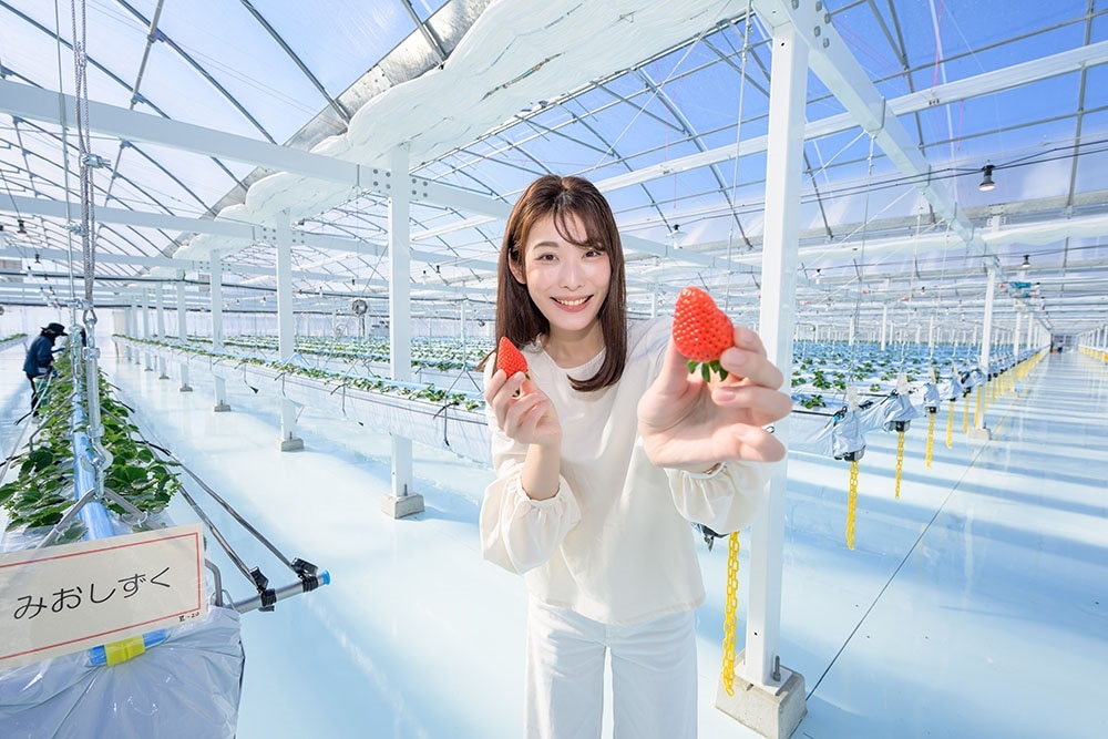 関西ウォーカー2025春 ウォーカームック