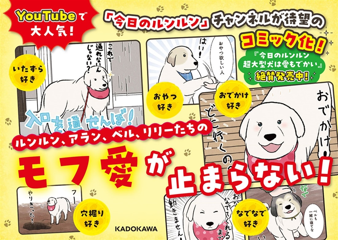 今日のルンルン 超大型犬は愛もでかい