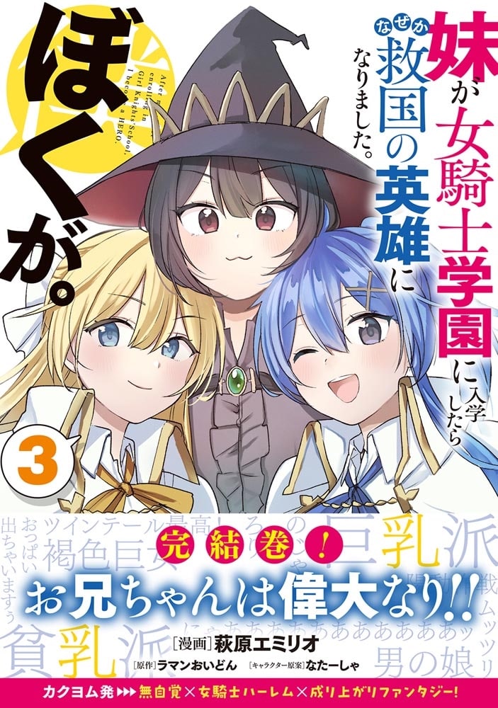 妹が女騎士学園に入学したらなぜか救国の英雄になりました。ぼくが。3