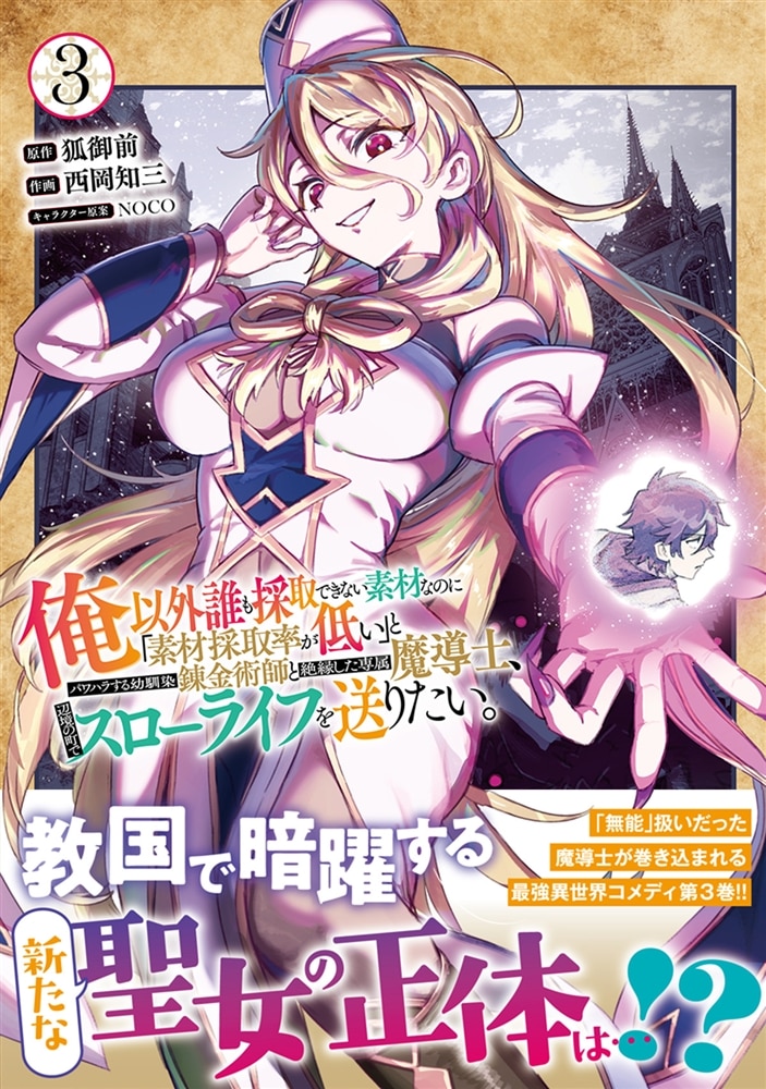 俺以外誰も採取できない素材なのに「素材採取率が低い」とパワハラする幼馴染錬金術師と絶縁した専属魔導士、辺境の町でスローライフを送りたい。　3