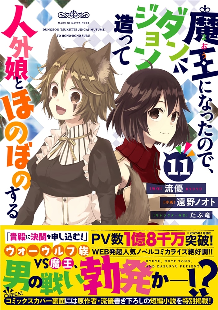 魔王になったので、ダンジョン造って人外娘とほのぼのする　１１