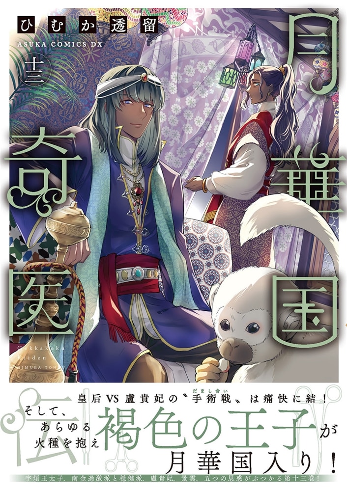 月華国奇医伝　第十三巻