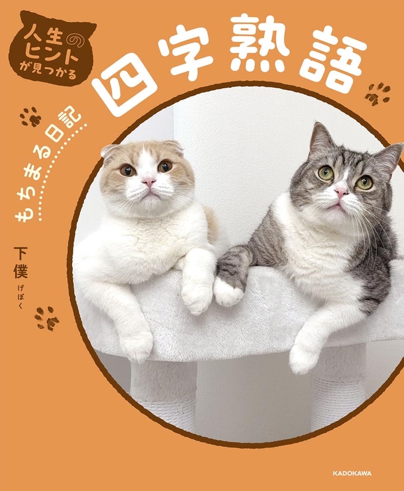 人生のヒントが見つかる　もちまる日記四字熟語