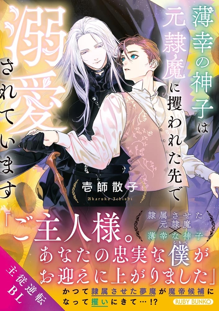 薄幸の神子は元隷魔に攫われた先で溺愛されています