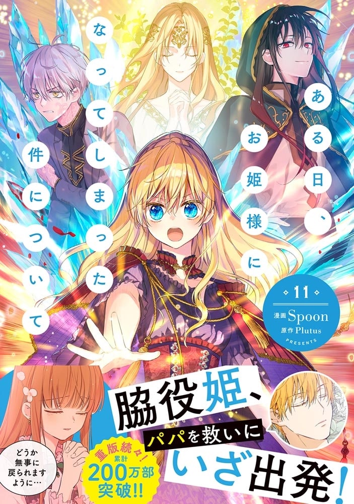 ある日、お姫様になってしまった件について　11