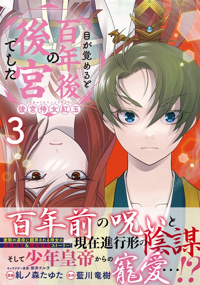 目が覚めると百年後の後宮でした 後宮侍女紅玉　3