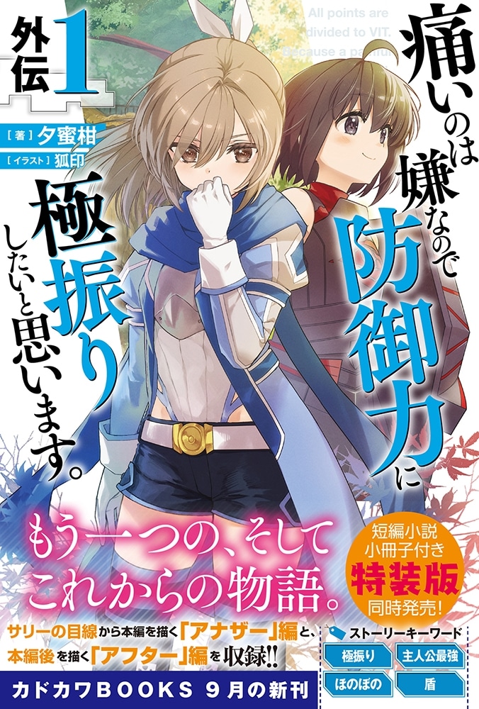 痛いのは嫌なので防御力に極振りしたいと思います。　外伝１