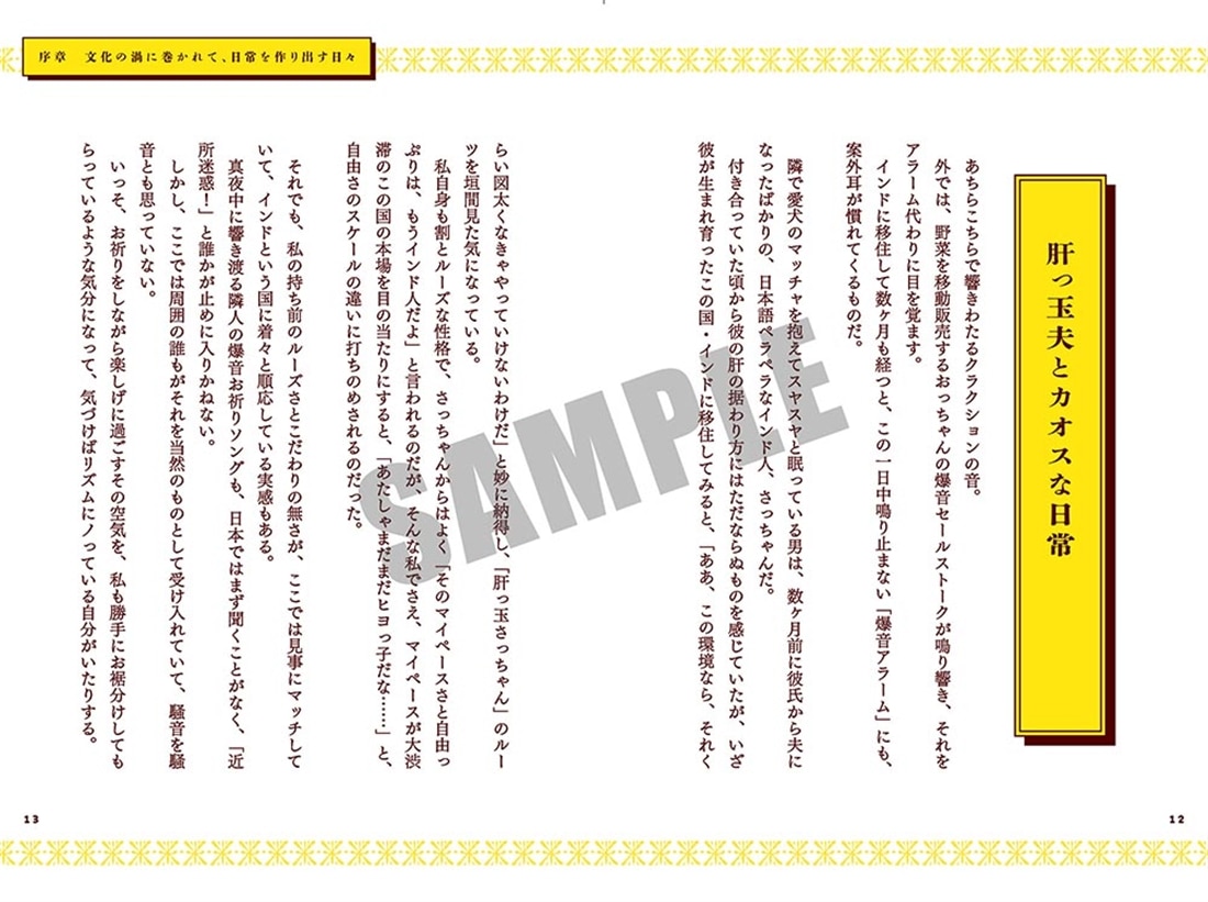 インド嫁1年生、異国生活奮闘記
