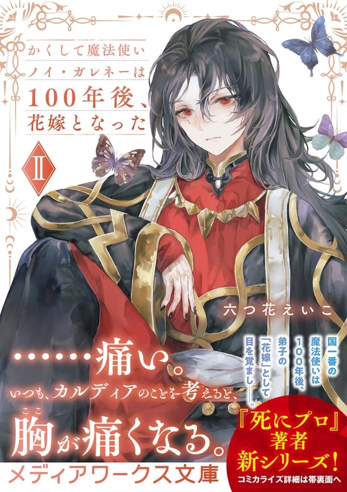 かくして魔法使いノイ・ガレネーは100年後、花嫁となったII