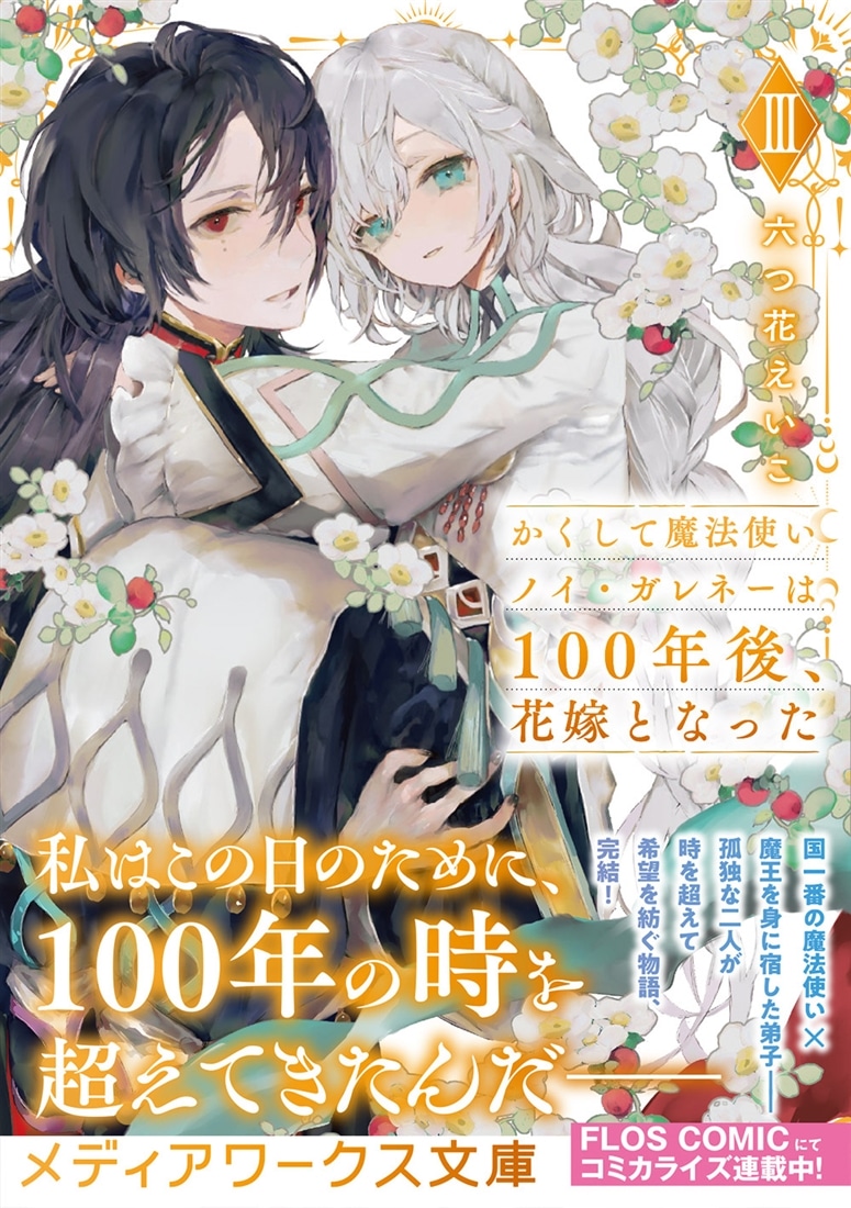かくして魔法使いノイ・ガレネーは100年後、花嫁となったIII