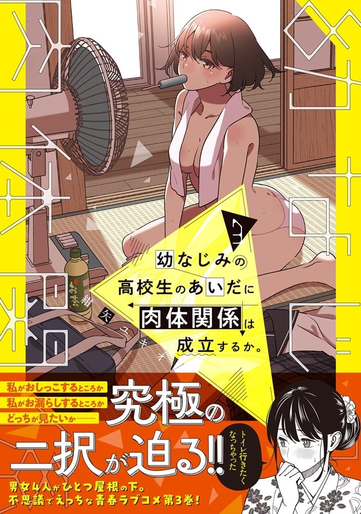 幼なじみの高校生のあいだに肉体関係は成立するか。（３）