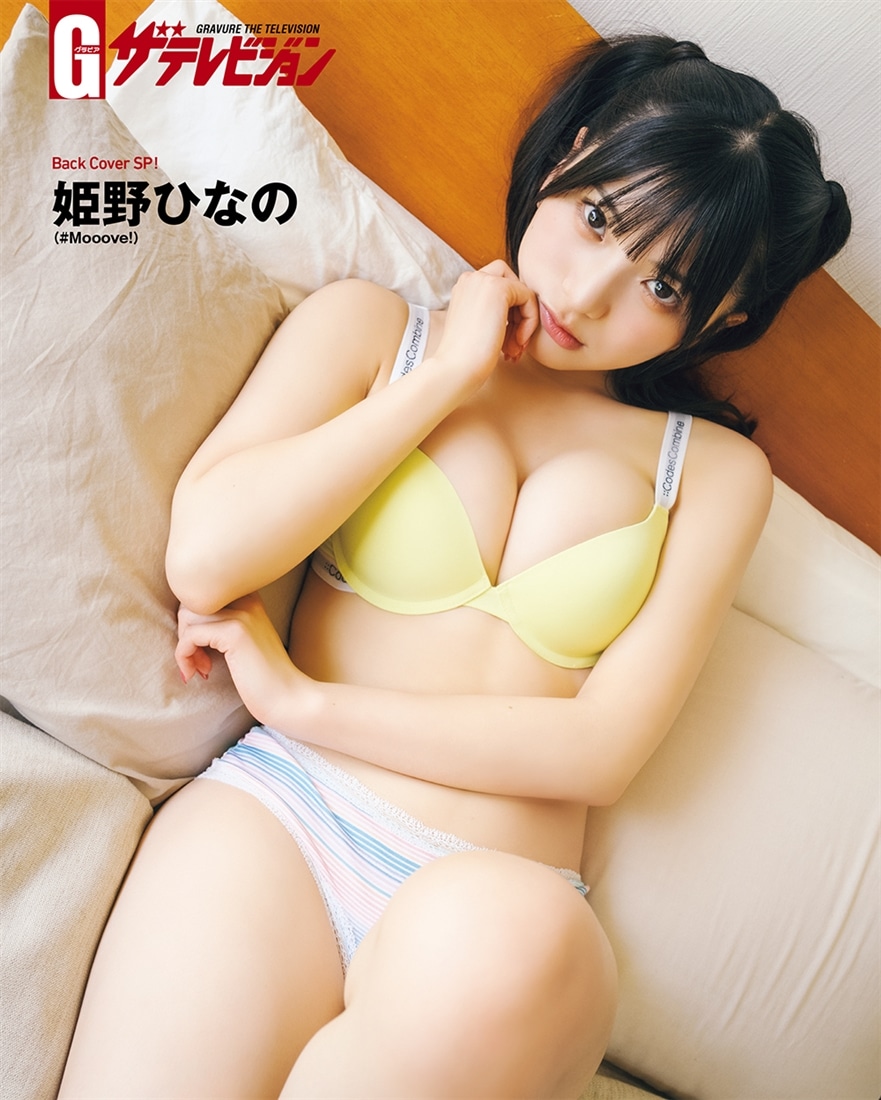 グラビアザテレビジョン　vol.81