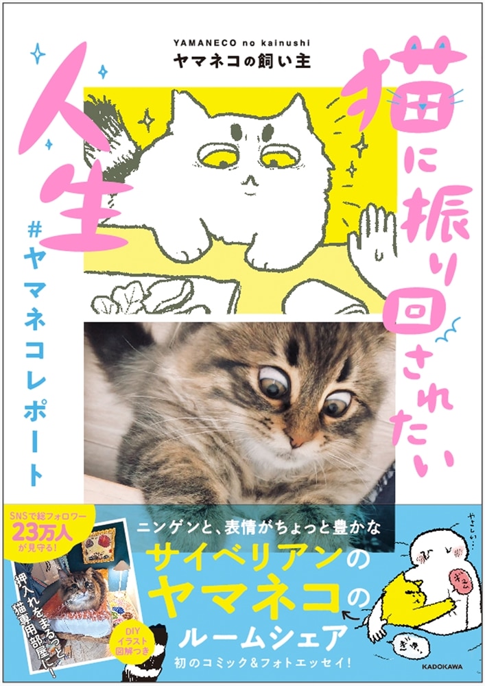 猫に振り回されたい人生　#ヤマネコレポート