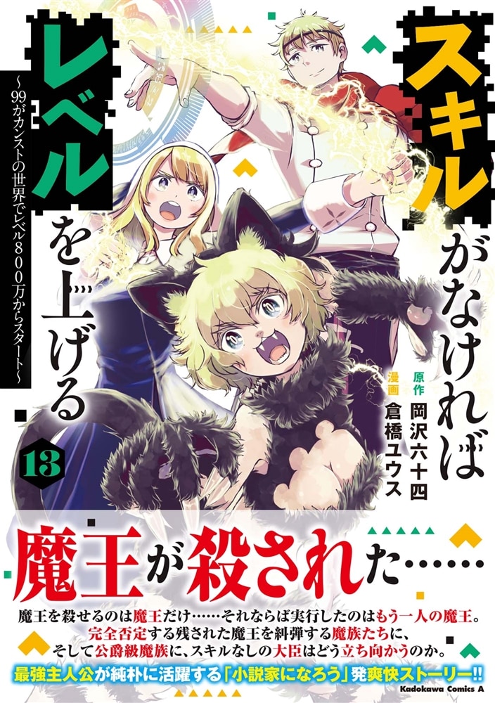 スキルがなければレベルを上げる　（１３） ～99がカンストの世界でレベル800万からスタート～