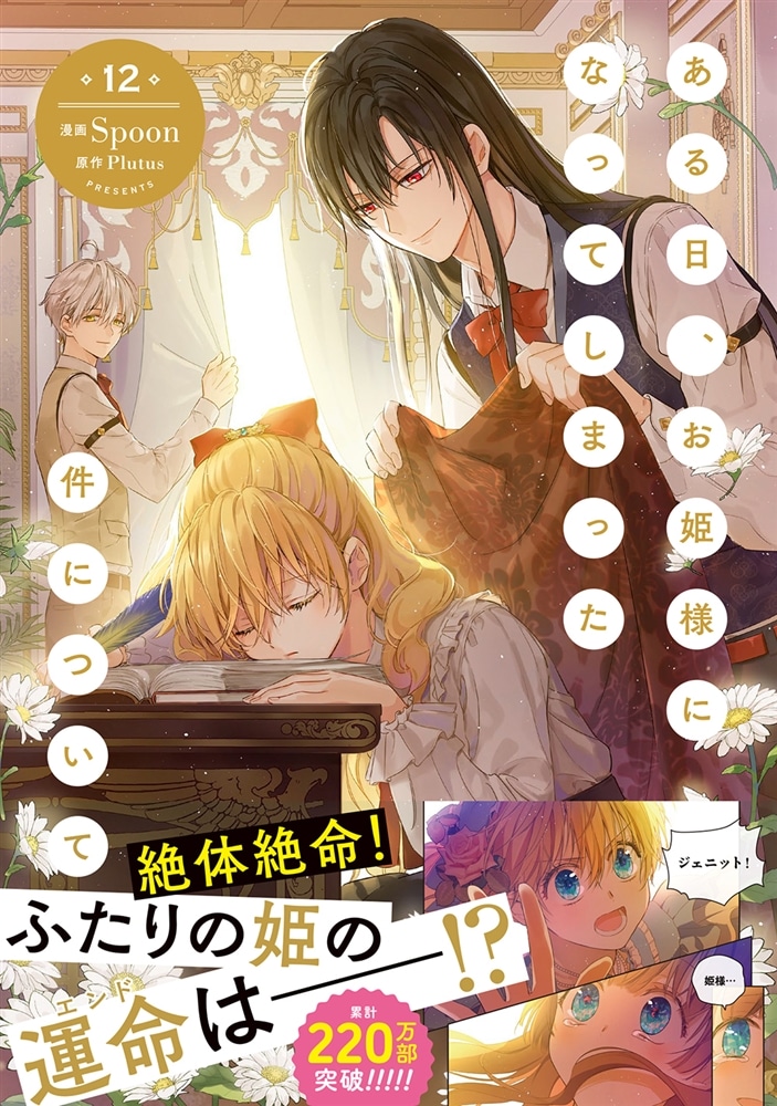 ある日、お姫様になってしまった件について　12