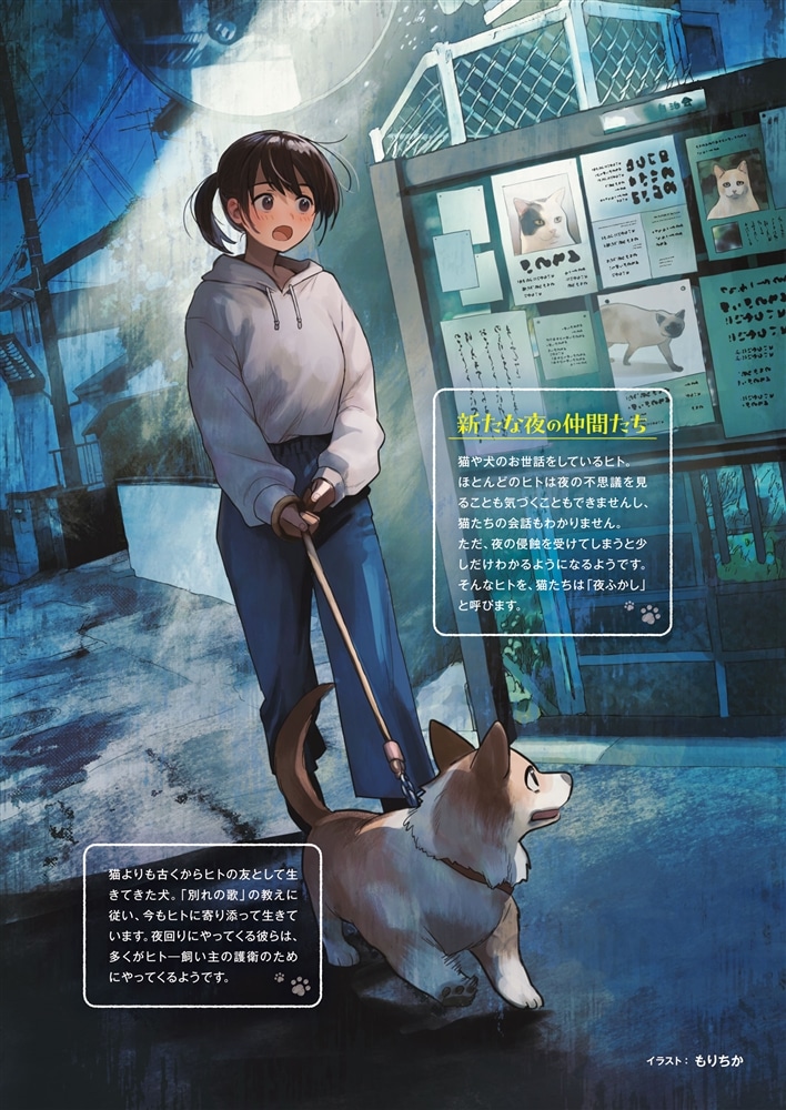 夜のあしあと 夜の帰り道