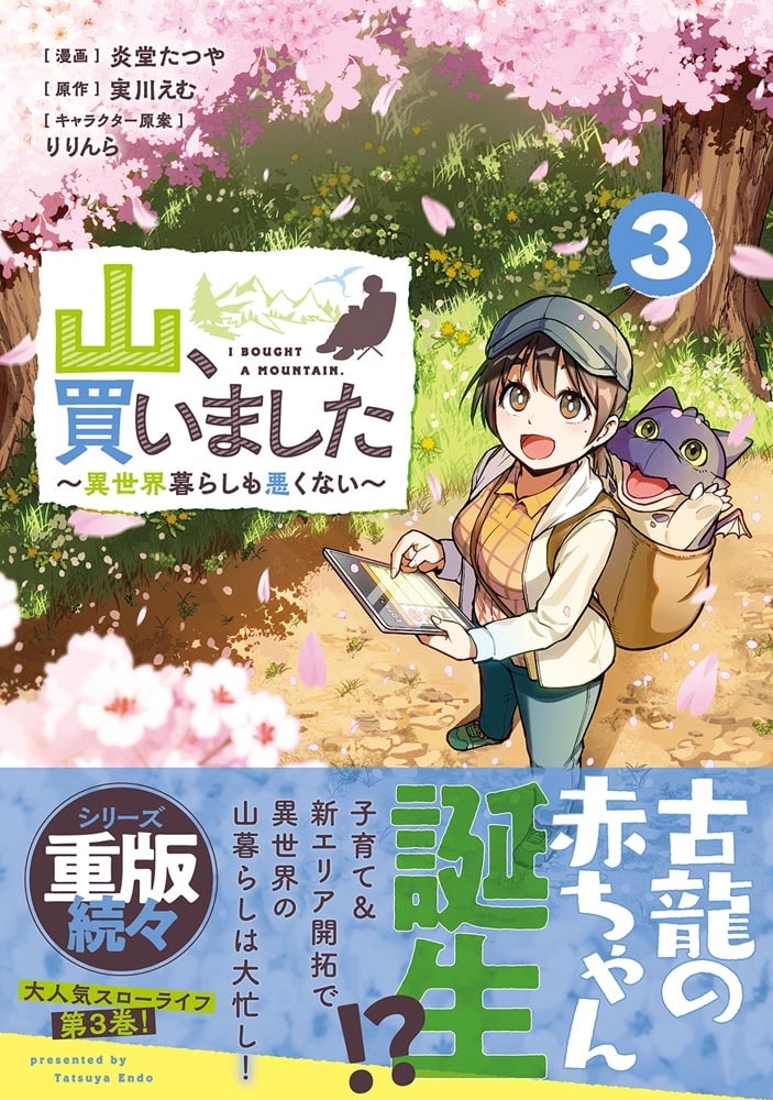 山、買いました ～異世界暮らしも悪くない～ ３