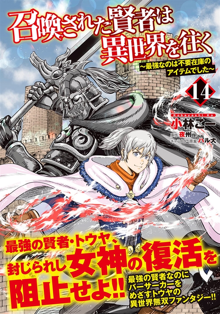 召喚された賢者は異世界を往く　～最強なのは不要在庫のアイテムでした～　14