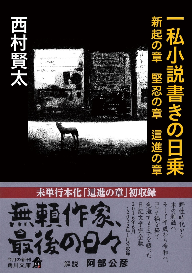 一私小説書きの日乗 新起の章　堅忍の章　這進の章