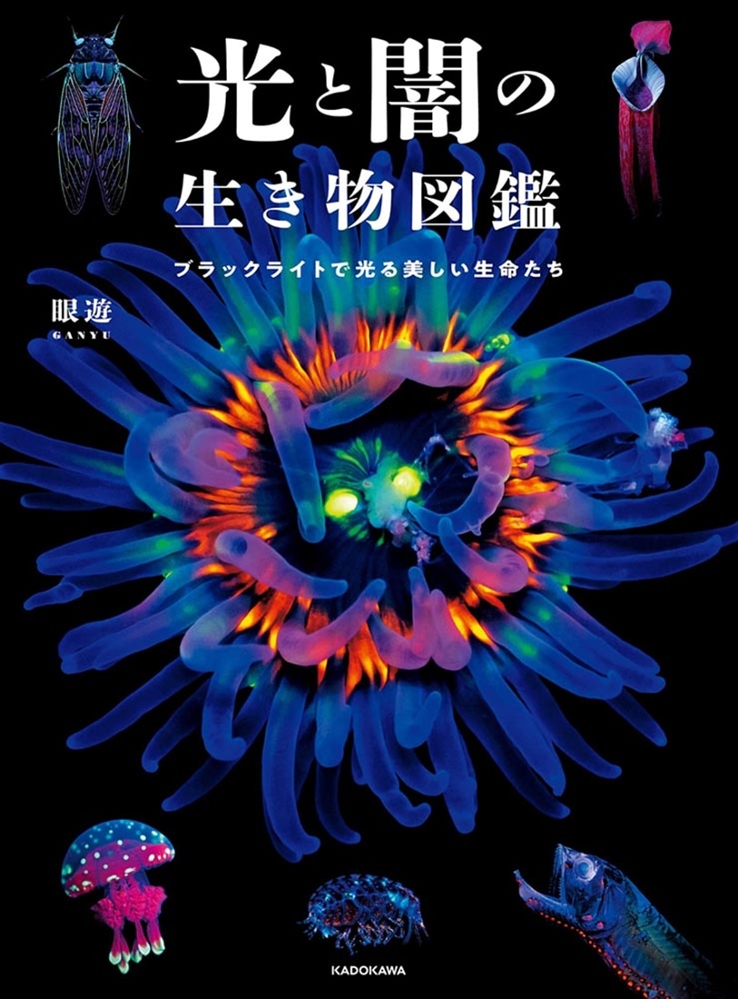 光と闇の生き物図鑑 ブラックライトで光る美しい生命たち