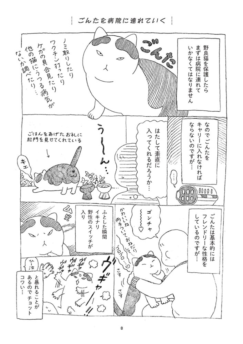 野良猫ごんた、家猫になる