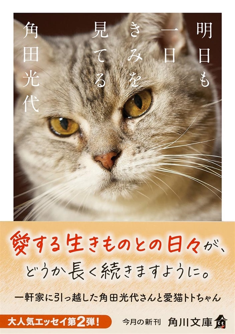 明日も一日きみを見てる