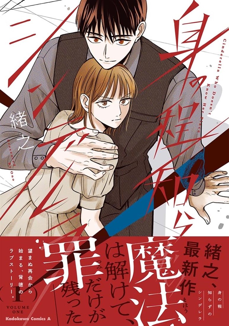 身の程知らずのシンデレラ　（１）