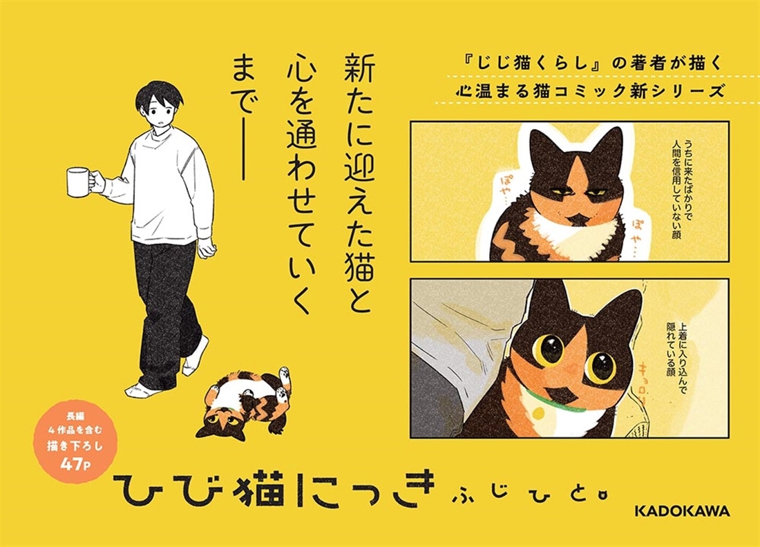 ひび猫にっき