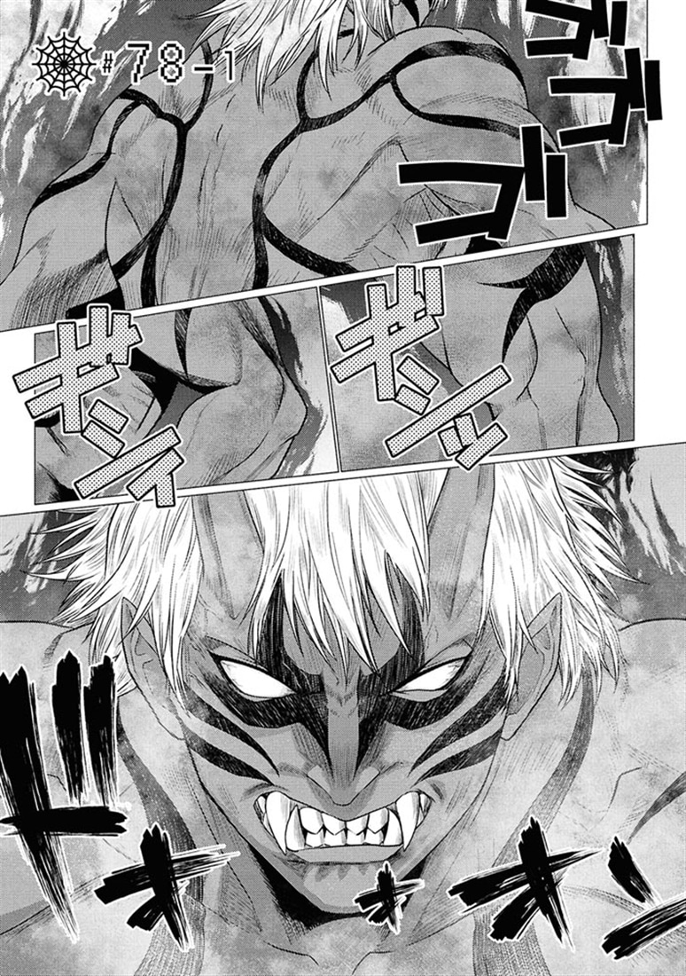 蜘蛛ですが、なにか？　（１６）