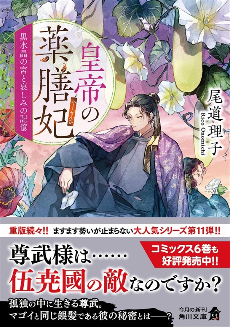 皇帝の薬膳妃 黒水晶の宮と哀しみの記憶