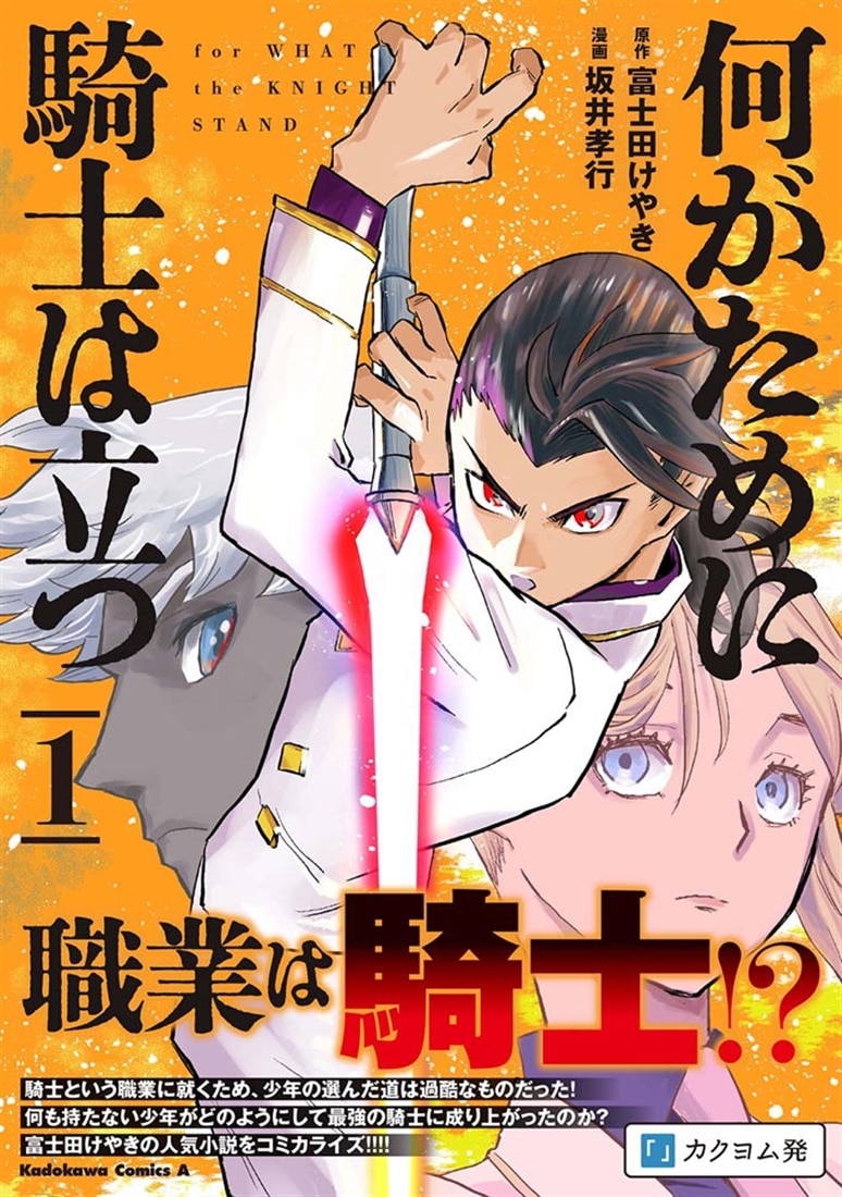 何がために騎士は立つ （１）