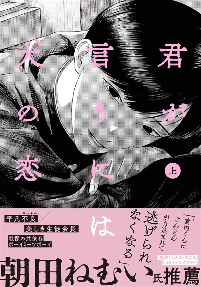 君が言うには犬の恋　上