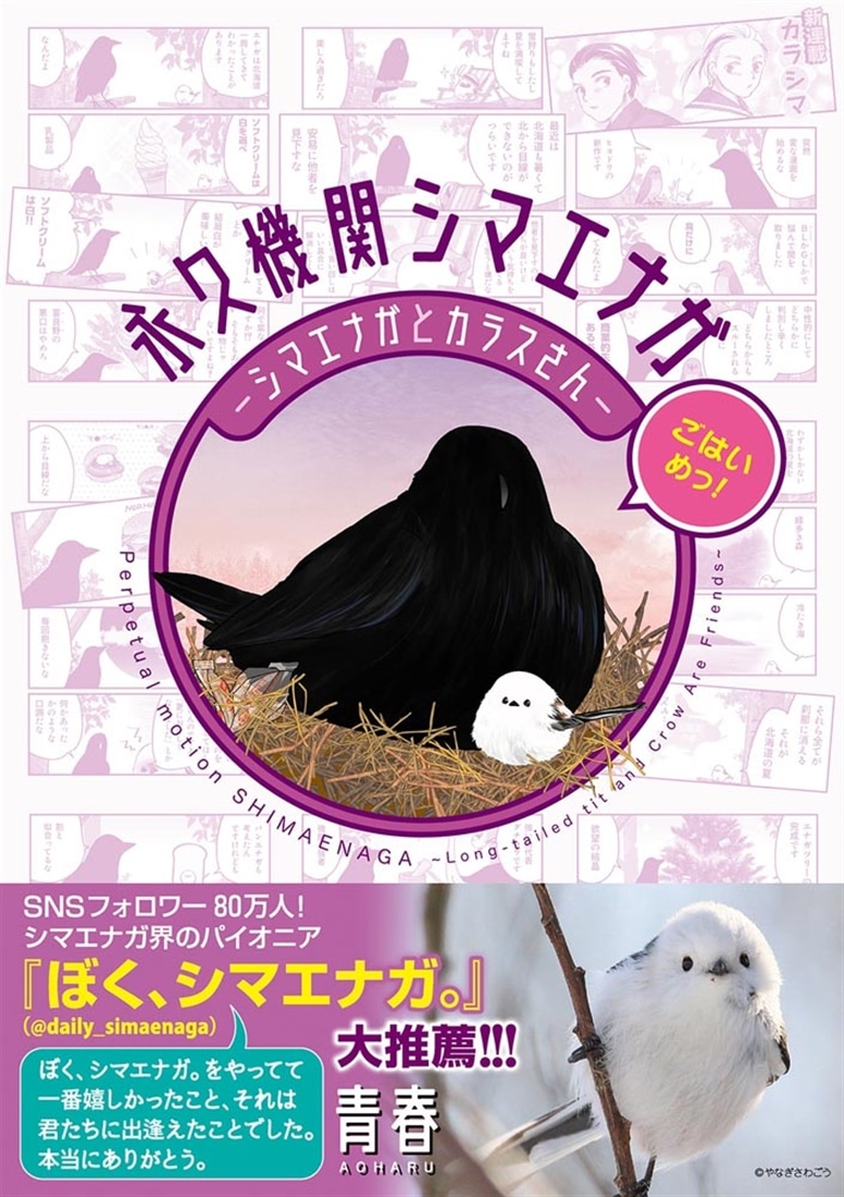 永久機関シマエナガ‐シマエナガとカラスさん‐ごはいめっ！