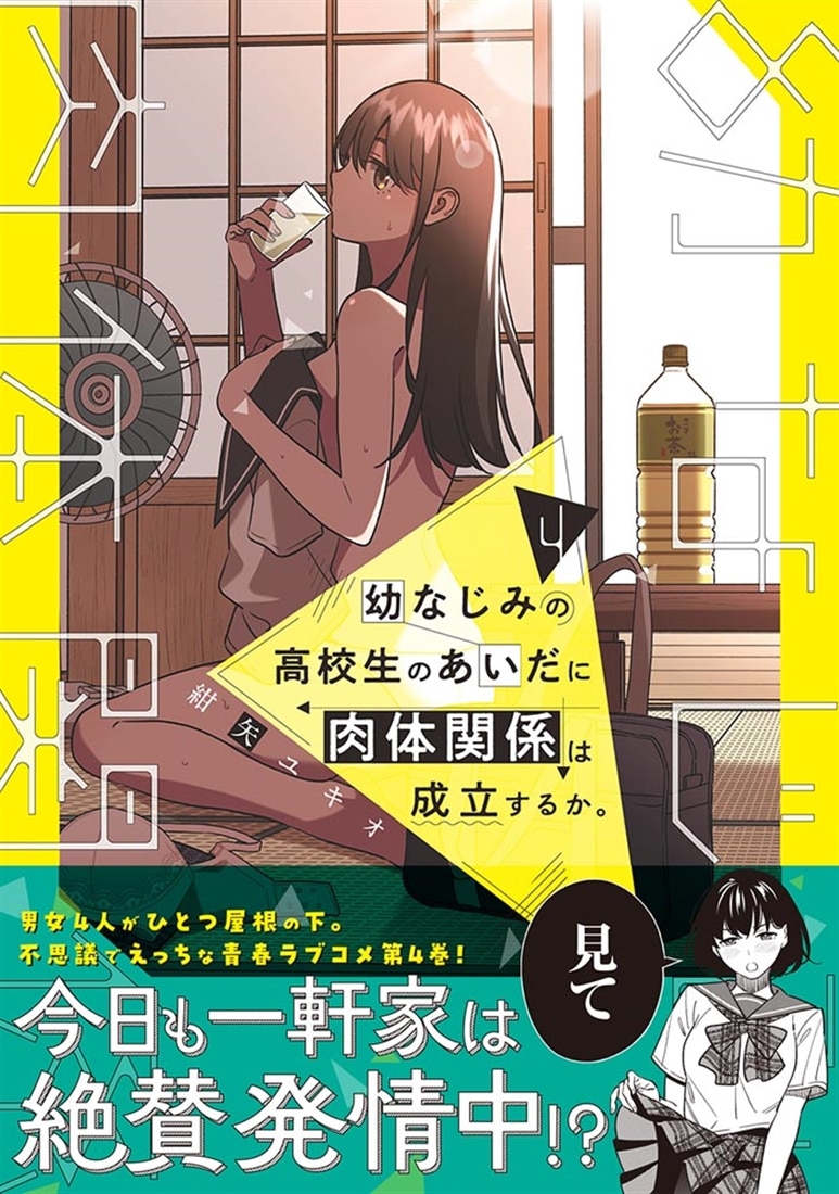 幼なじみの高校生のあいだに肉体関係は成立するか。（４）