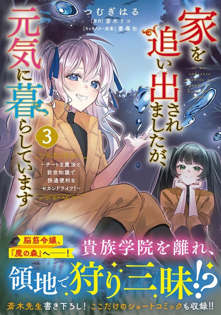 家を追い出されましたが、元気に暮らしています ～チートな魔法と前世知識で快適便利なセカンドライフ！～ 3