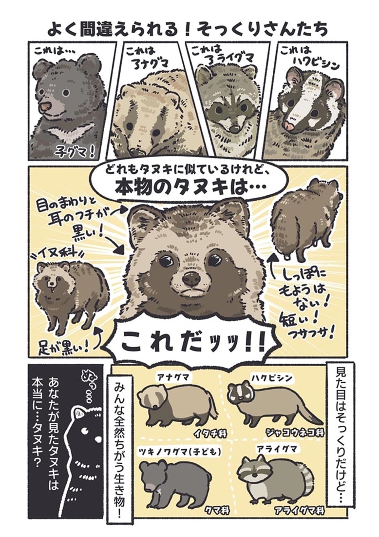 飼育員が教える！ 動物園が100倍楽しくなるどうぶつ図鑑