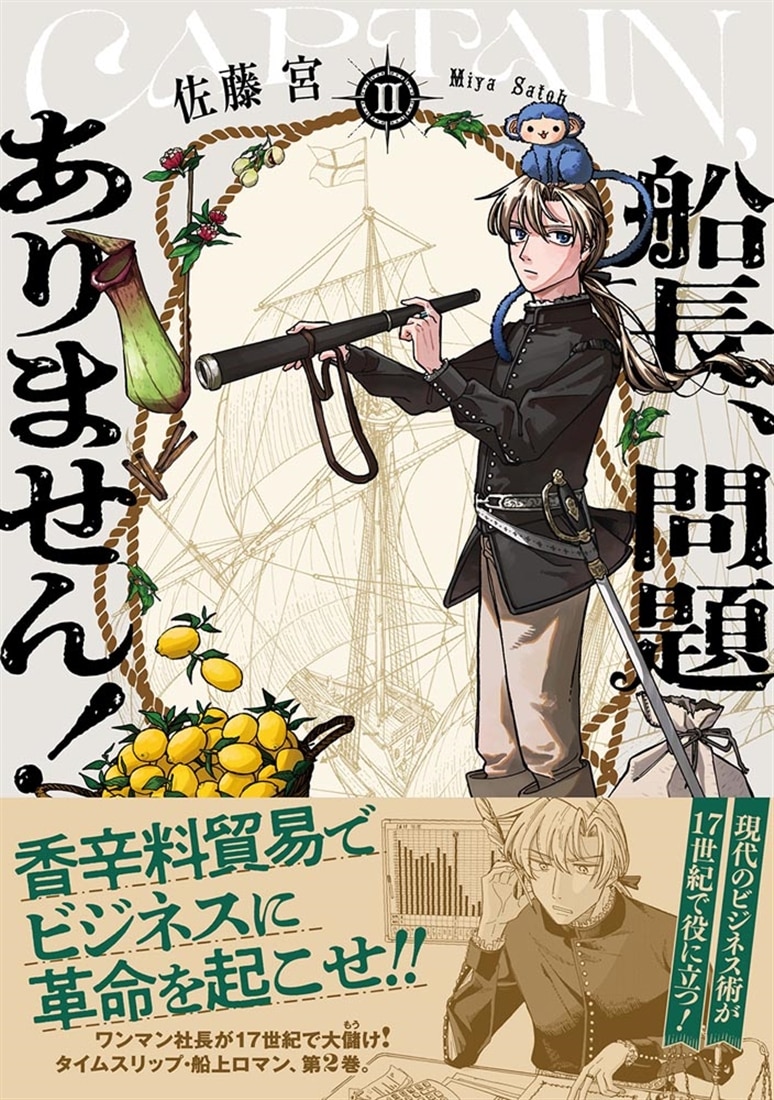 船長、問題ありません！ II