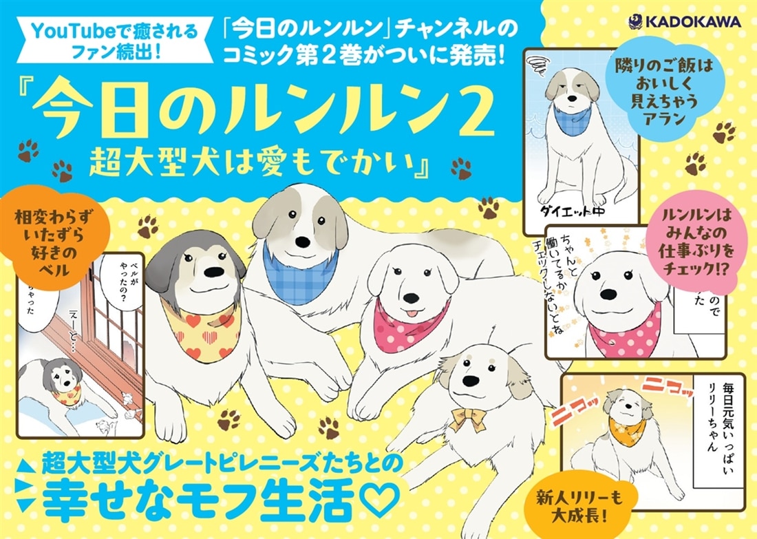 今日のルンルン２ 超大型犬は愛もでかい