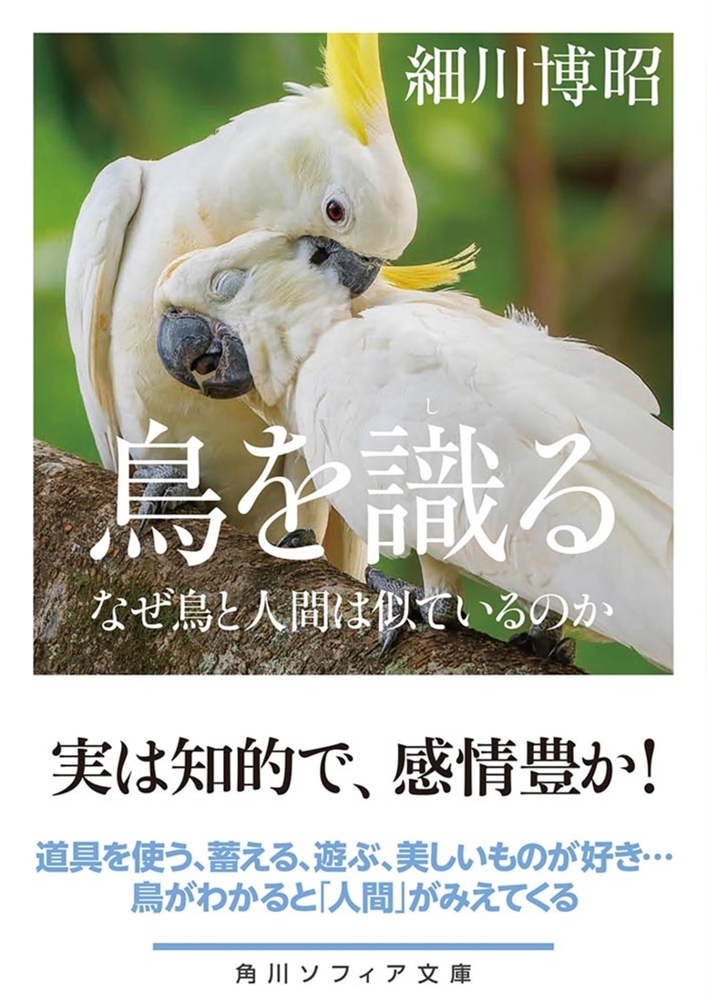 鳥を識る なぜ鳥と人間は似ているのか