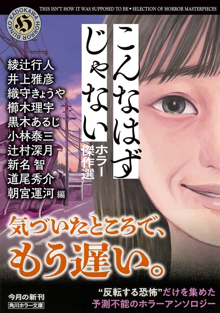 こんなはずじゃない　ホラー傑作選