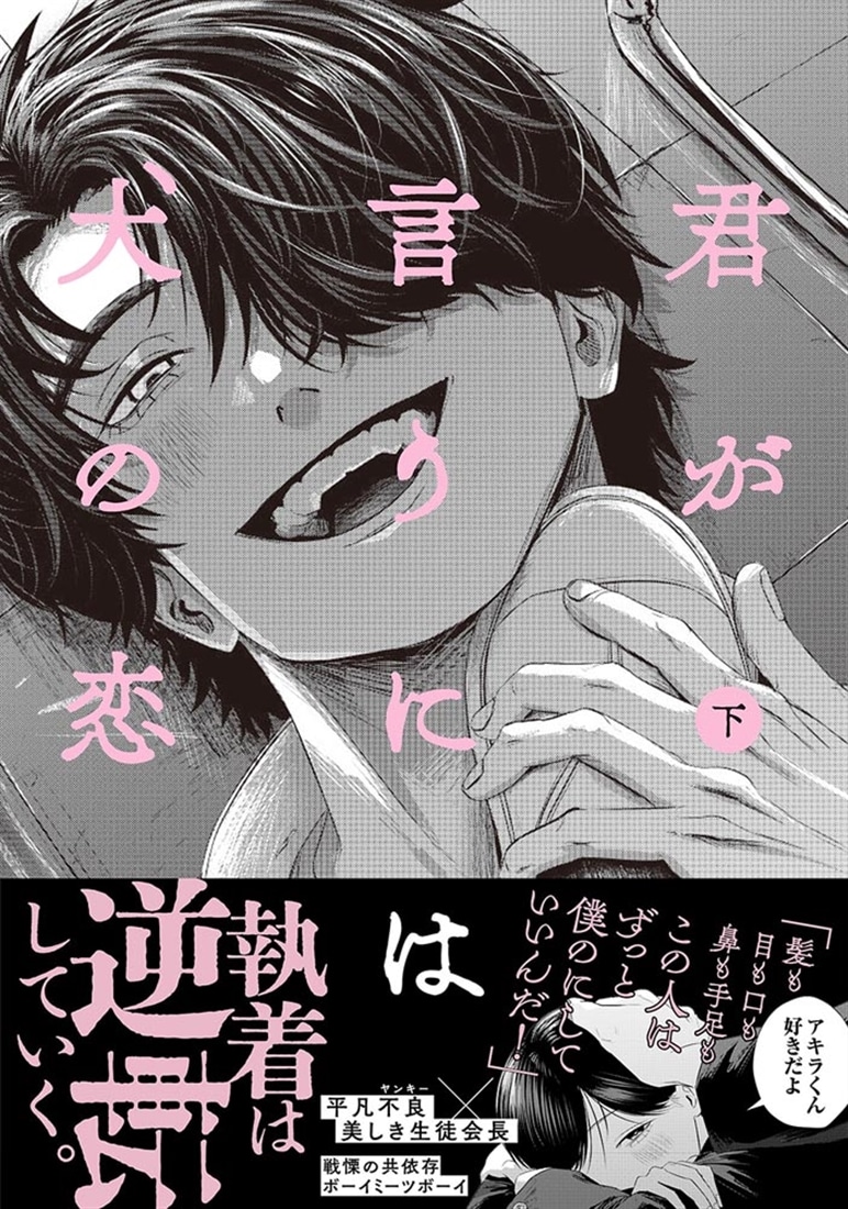 君が言うには犬の恋　下