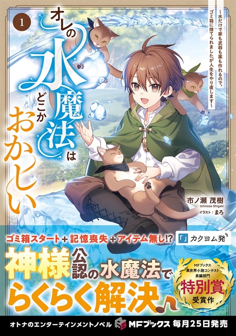 オレの水魔法はどこかおかしい　～水だけで家も武器も薬も作れるので、ゴミ箱に捨てられましたが人生をやり直します～１