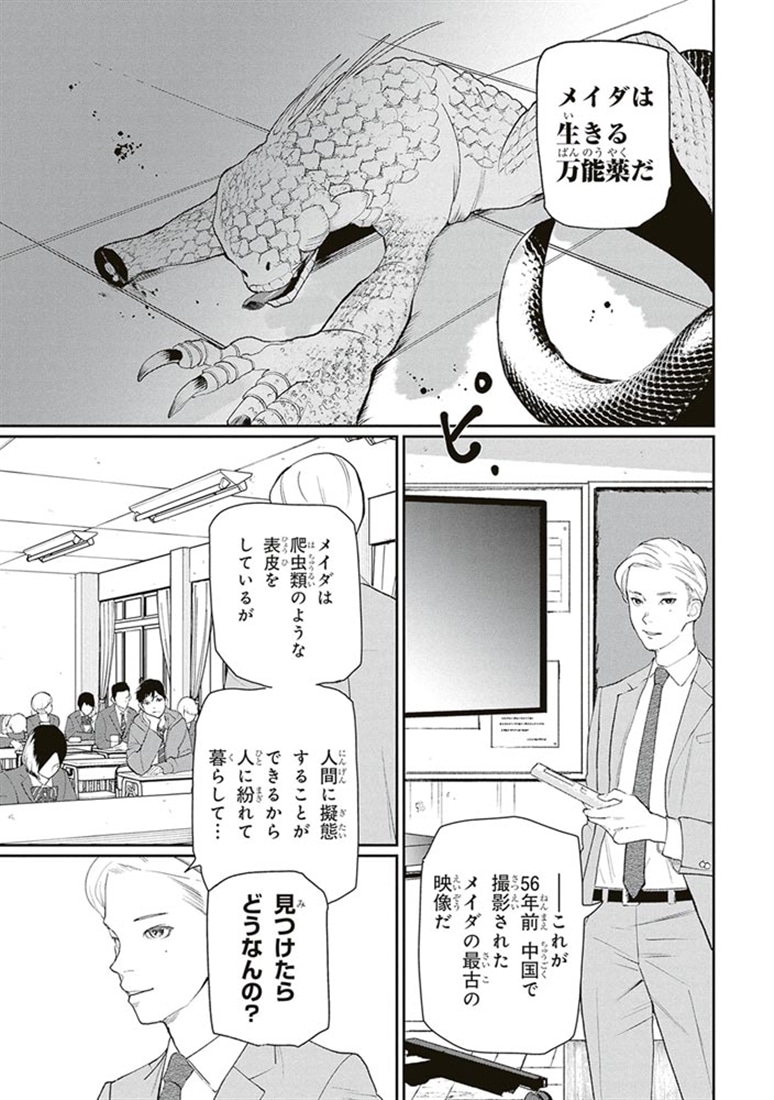 メイダ　Vol.1