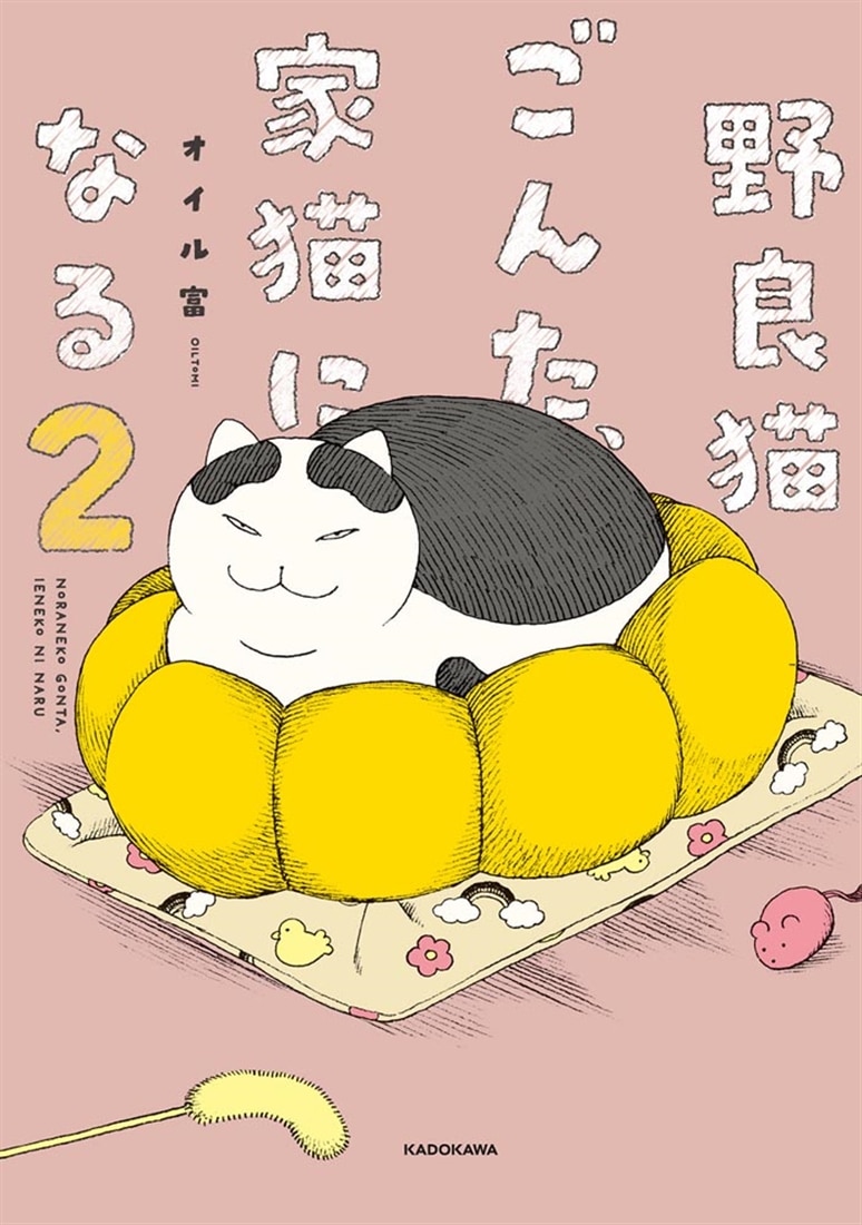 野良猫ごんた、家猫になる２