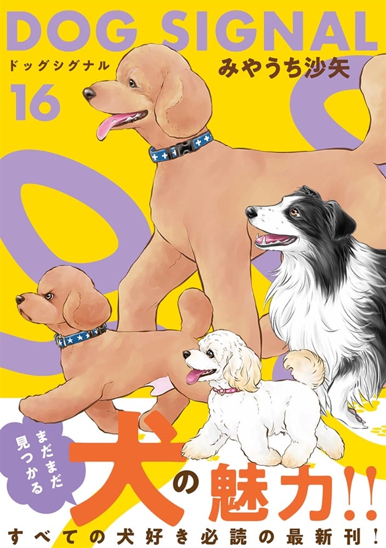 DOG　SIGNAL　16