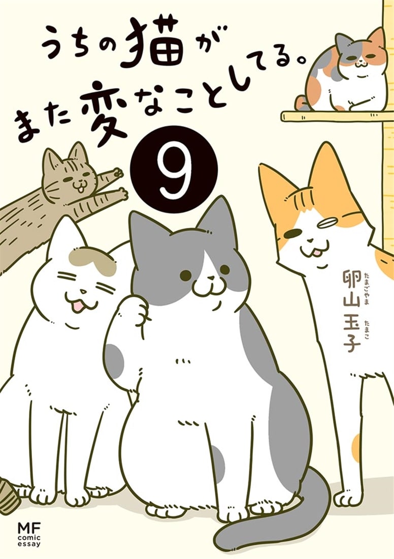 うちの猫がまた変なことしてる。９