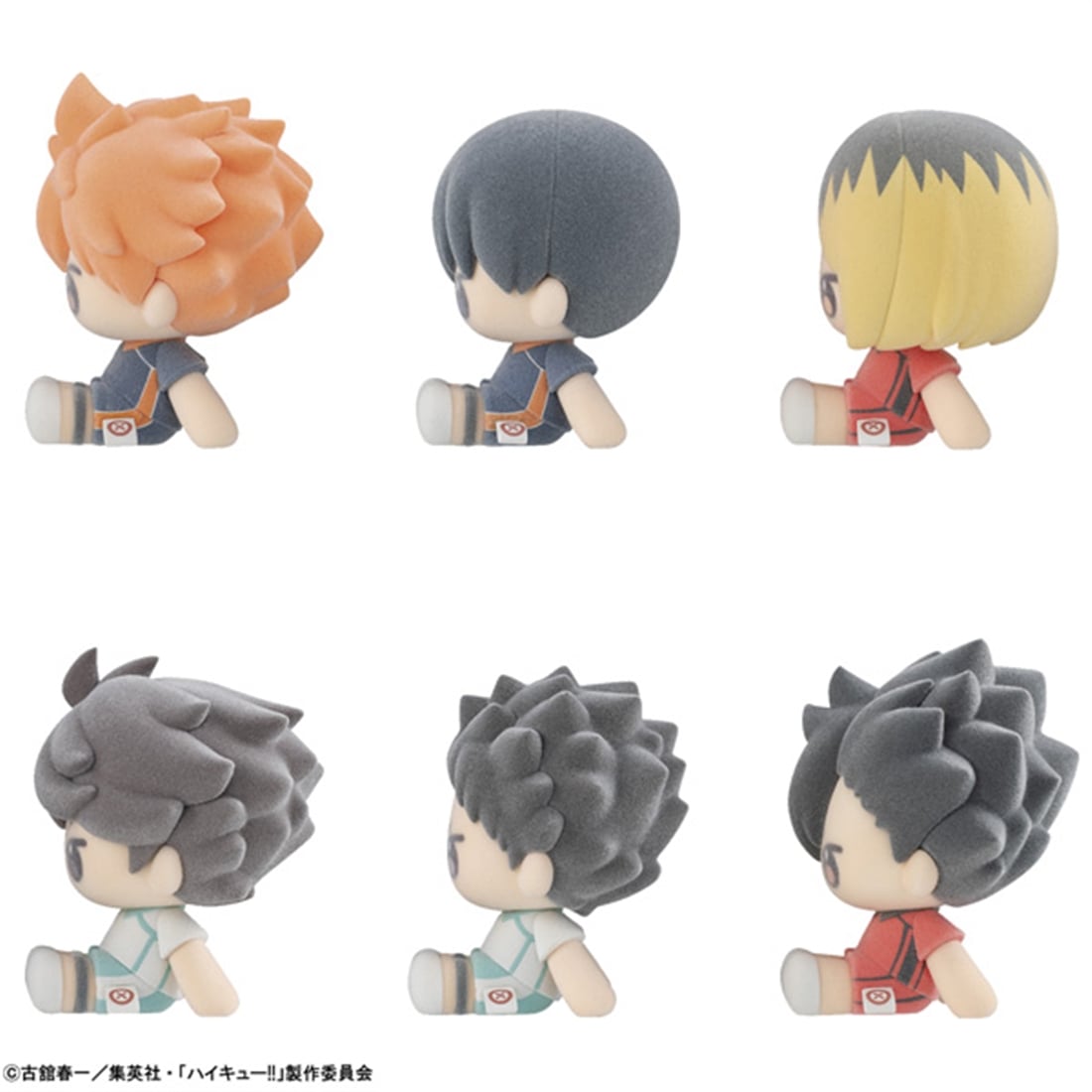 ハイキュ―!! ぬいっぽ 【1BOX】
