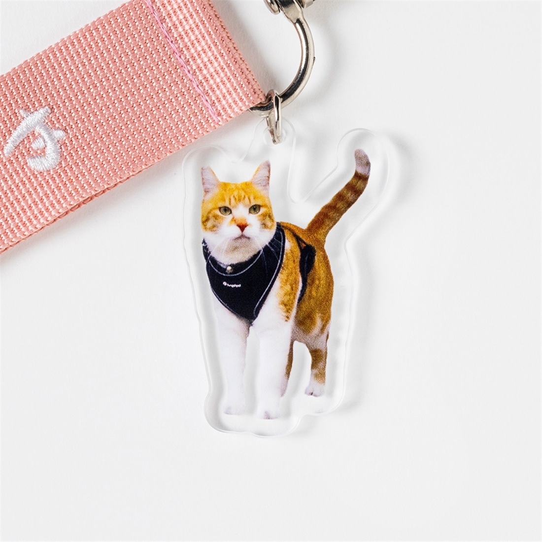 元野良猫チャチャ　ミニトートバッグ＆ストラップ付アクリルキーホルダーセット【特典ステッカー付】